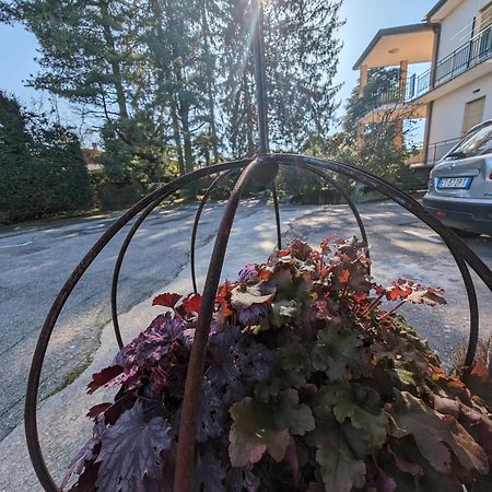 Paradeisos Residence Sas Сомма-Ломбардо Экстерьер фото